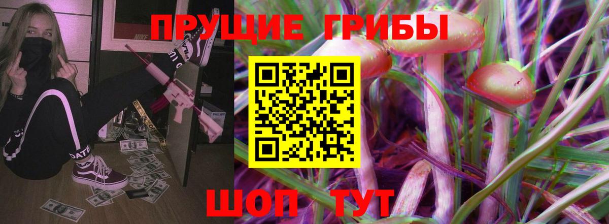 Псилоцибиновые грибы Psilocybe Балабаново