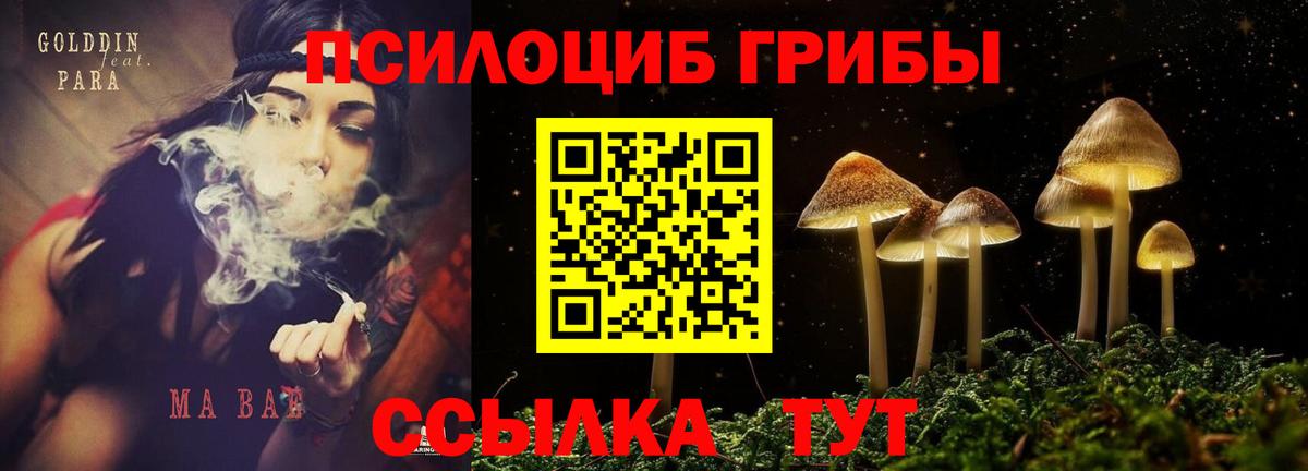 где купить наркотик  Вход с VPN  Балабаново  Галлюциногенные грибы ЛСД  Галлюциногенные грибы GOLDEN TEACHER 
